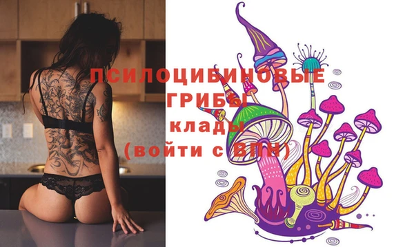 MDMA Краснослободск