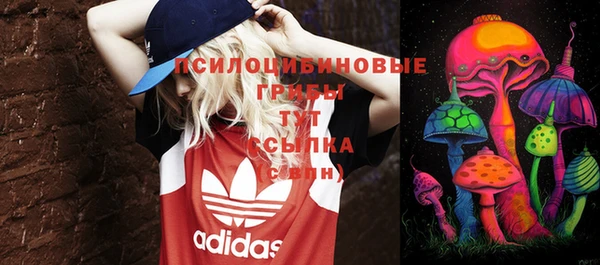 mdpv Куйбышев