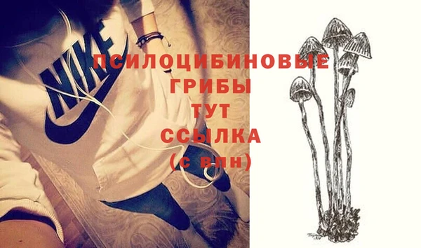 MDMA Краснослободск