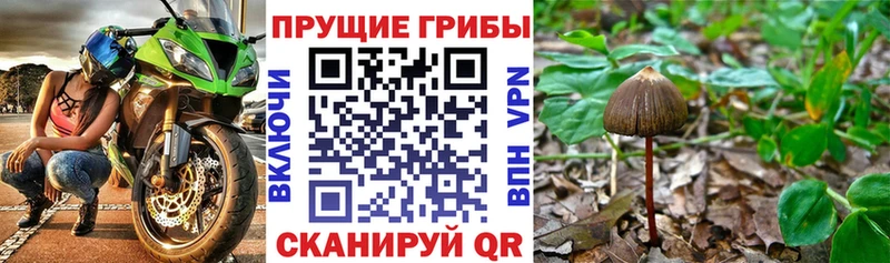 Купить закладки  Инсар  Галлюциногенные грибы ЛСД 